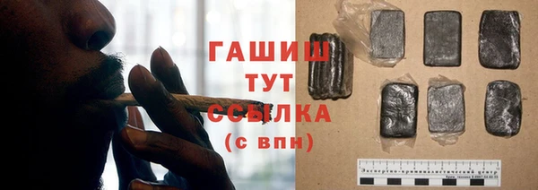PSILOCYBIN Алзамай