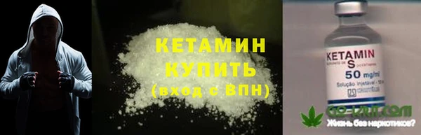 крисы Алексин