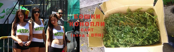 PSILOCYBIN Алзамай