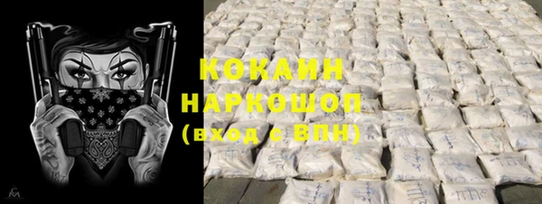 PSILOCYBIN Алзамай